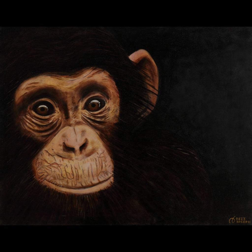 CHIMP - BABY - Oil on Canvas - 39.37