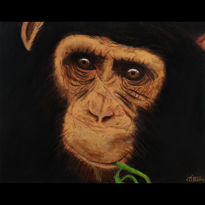 CHIMP - PENCE - Oil on Canvas - 39.37" x 31.50"