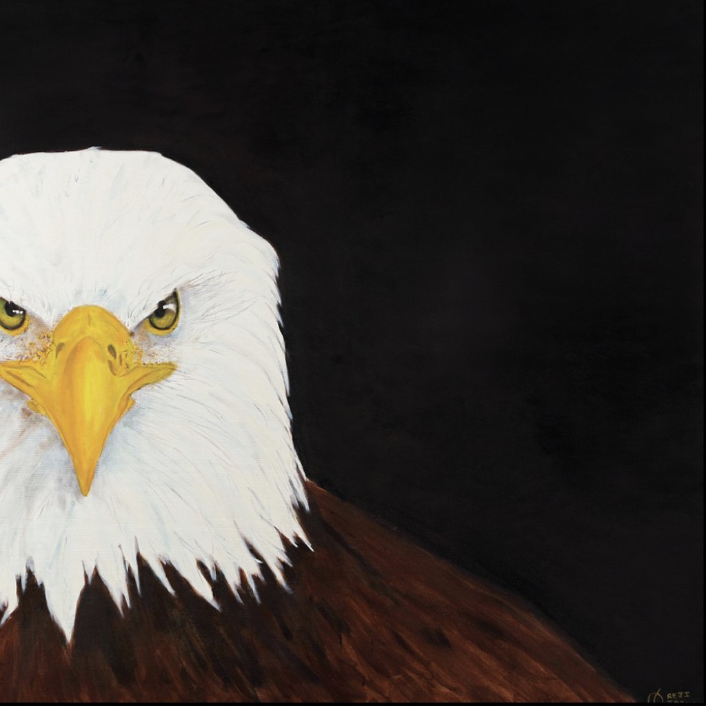 EAGLE SERIES - YUMA - Oil on Canvas - 39.37