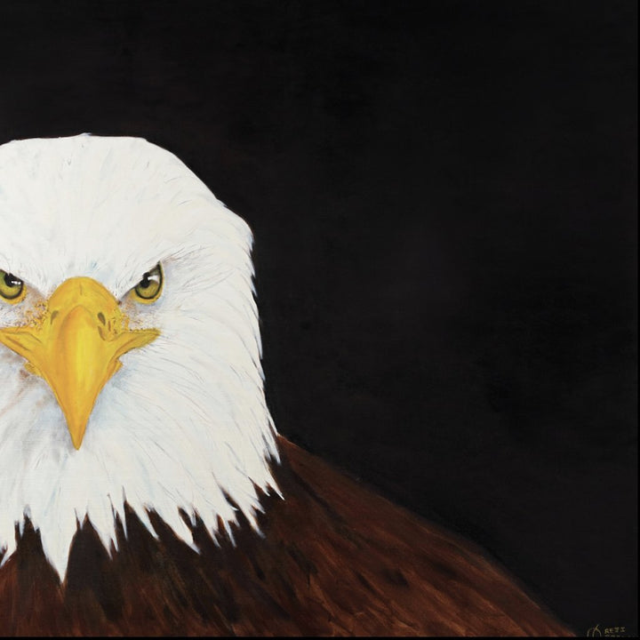 EAGLE SERIES - YUMA - Oil on Canvas - 39.37" x 39.37"