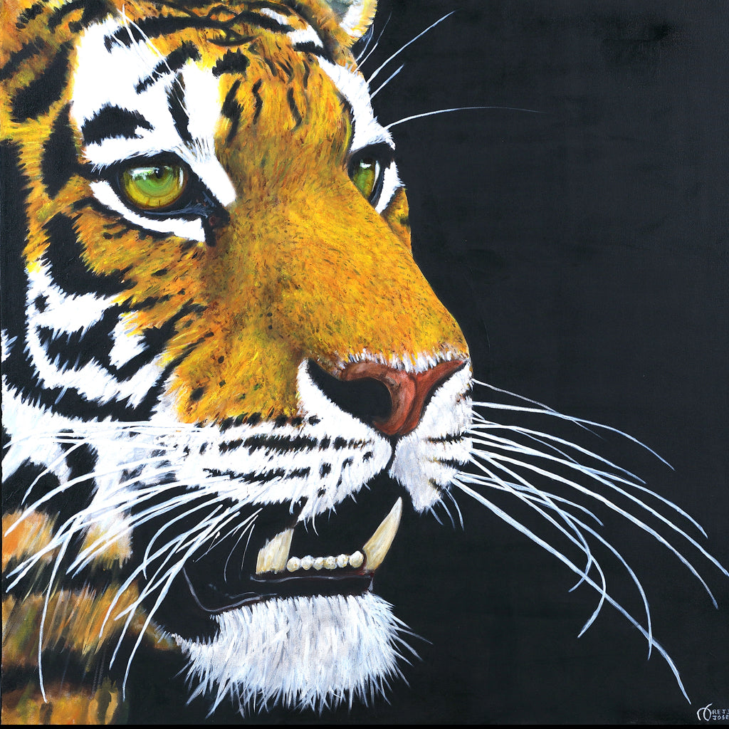 SABER TOOTH - Oil on Canvas - 39.37