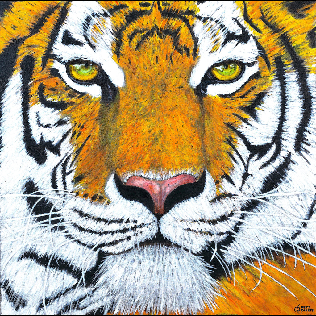 TIGER BABU - Oil on Canvas - 39.37