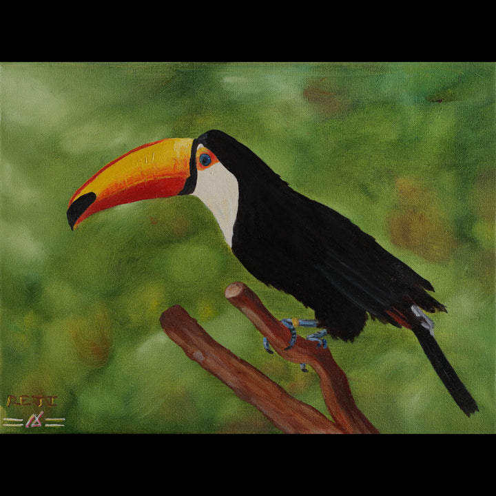 TOUCAN - Oil on Canvas - 15.75" x 11.81"