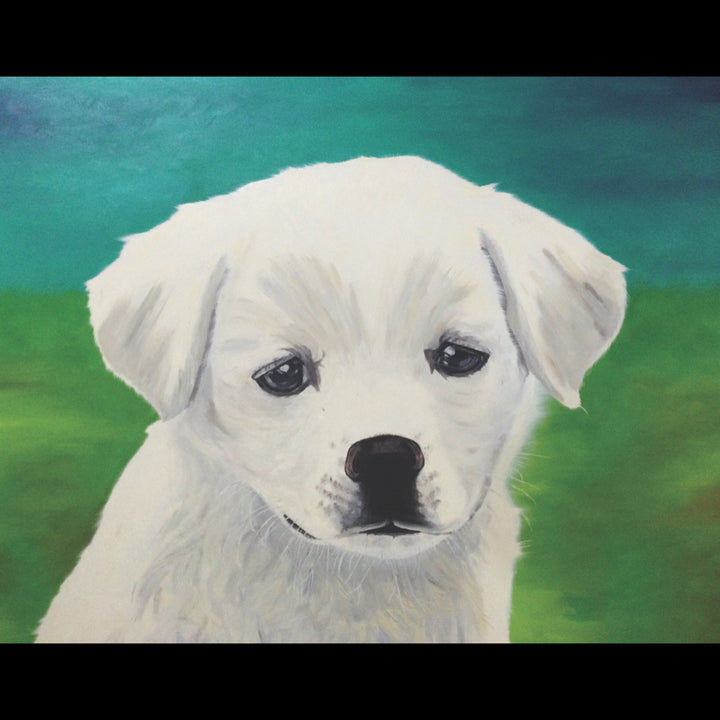 WHITE LAB - Oil on Canvas - 47" x 39"